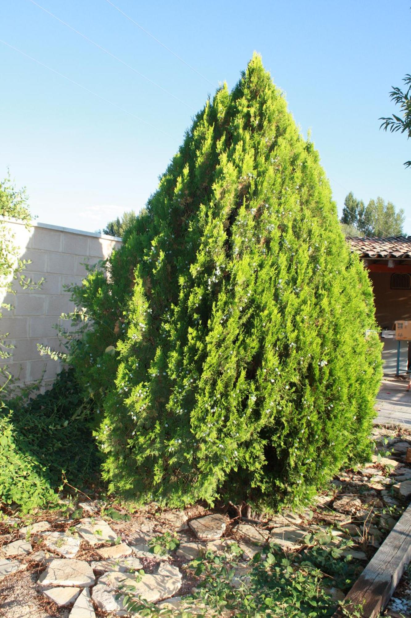 Appartamento Loft La Buena Vida Penaranda de Duero Esterno foto